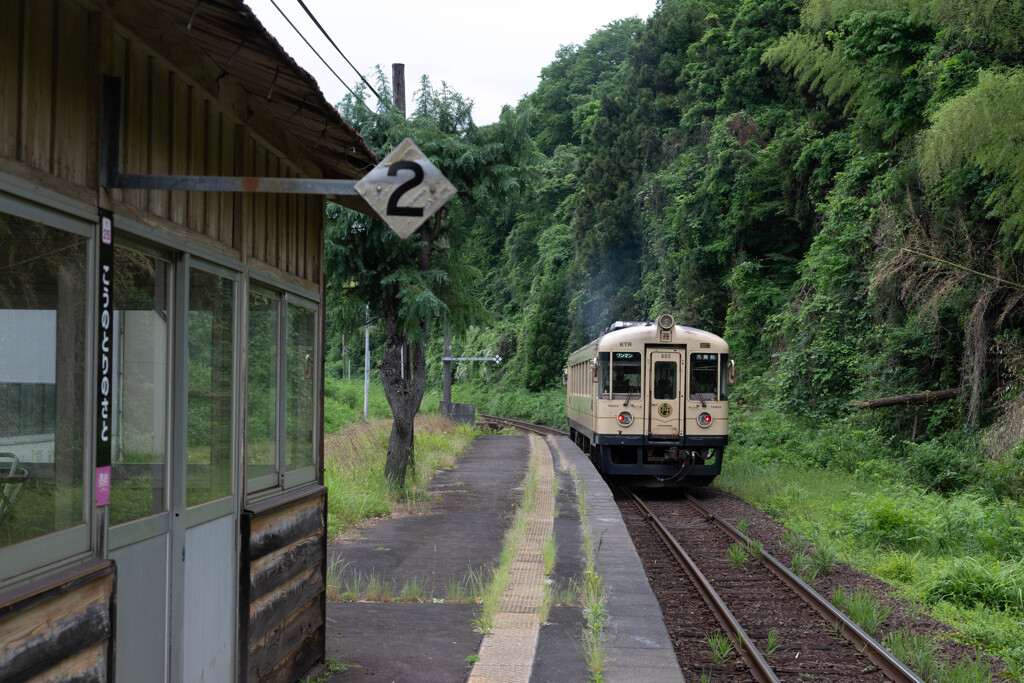 a.train-0158(DSC0047)