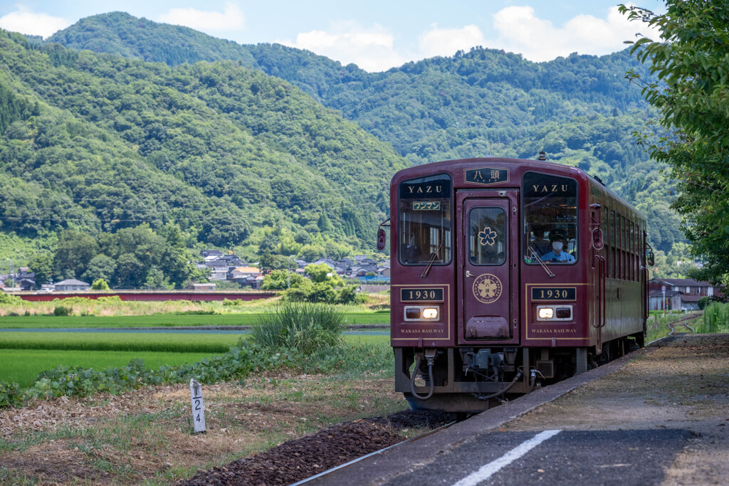 a.train-0177(Z811056)