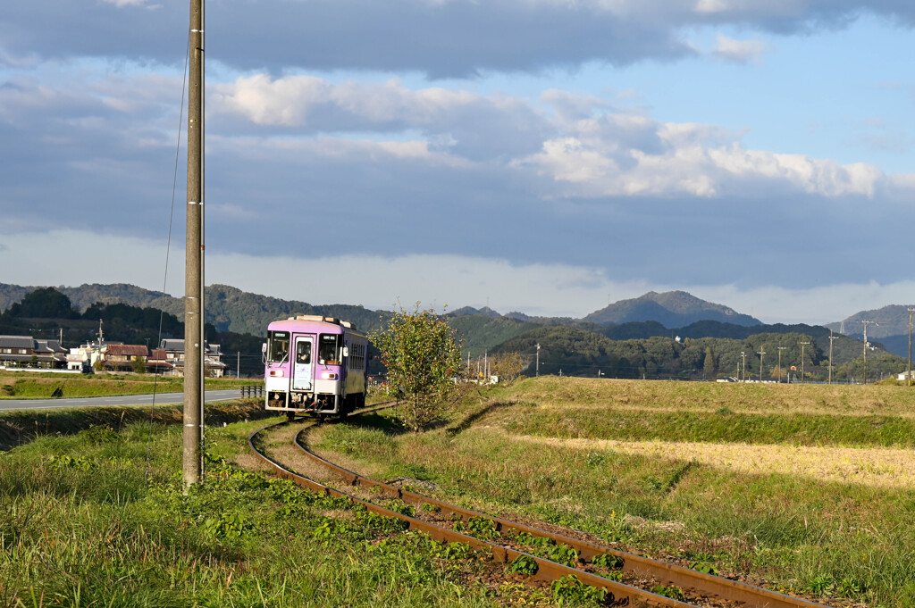 a.train-0032(Z611670)