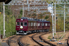 a.train-0233(Z812985)