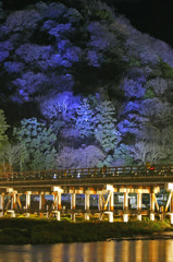 京都花灯籠3