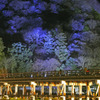 京都花灯籠3