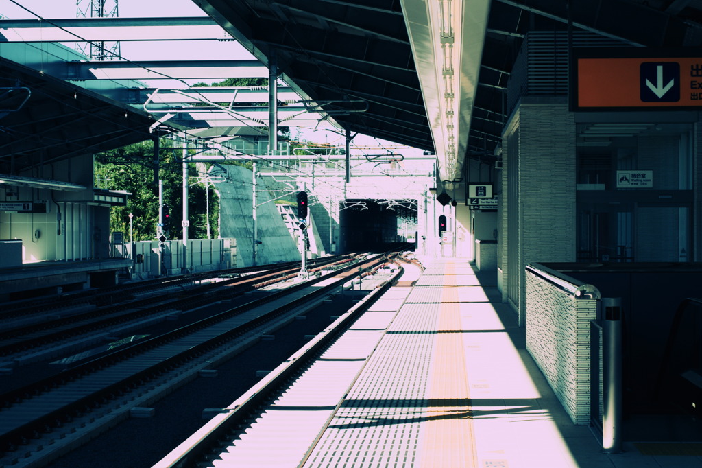 秋の散歩②