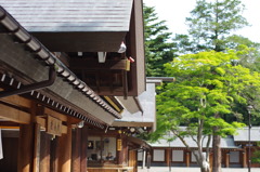 続・夏の思ひ出⑮