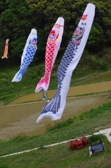 昨年に引き続き房総の旅⑤