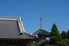 秋の散歩④