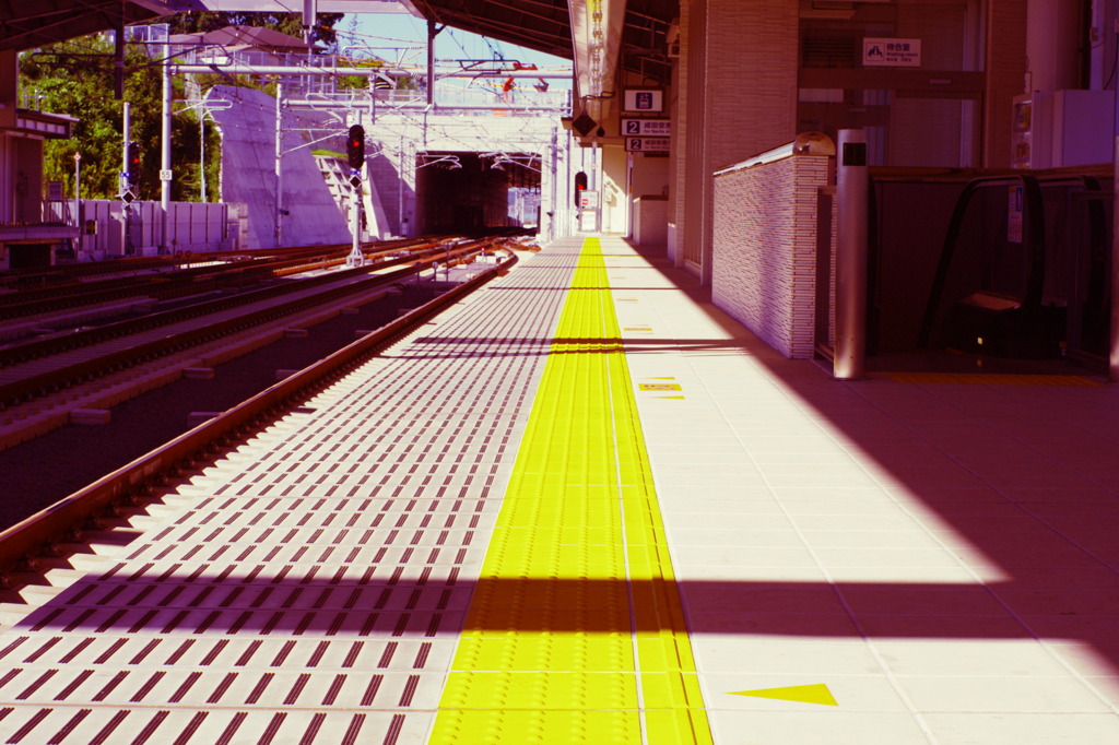 秋の散歩③