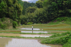 昨年に引き続き房総の旅⑥