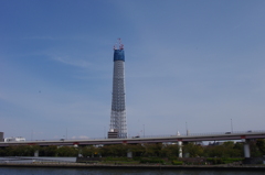 まだまだ伸びる