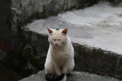 台湾へ⑥