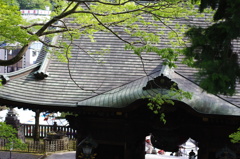 成田山へお参り⑩