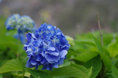 夏の思ひ出⑥