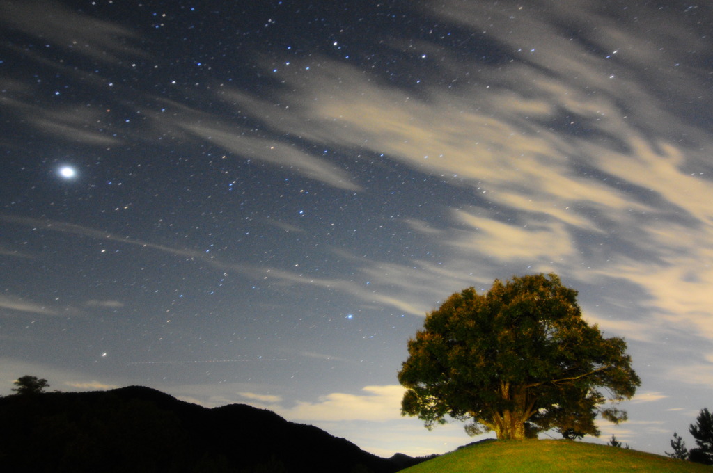 夏の夜空