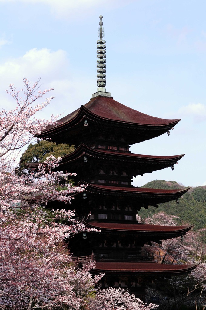 瑠璃光寺２