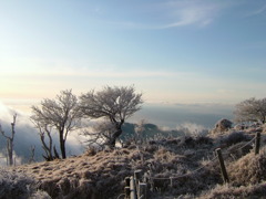 蛭ヶ岳山頂より