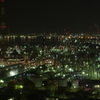 いぶし銀の世界