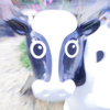 迫るウシ