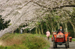 ドライブ。