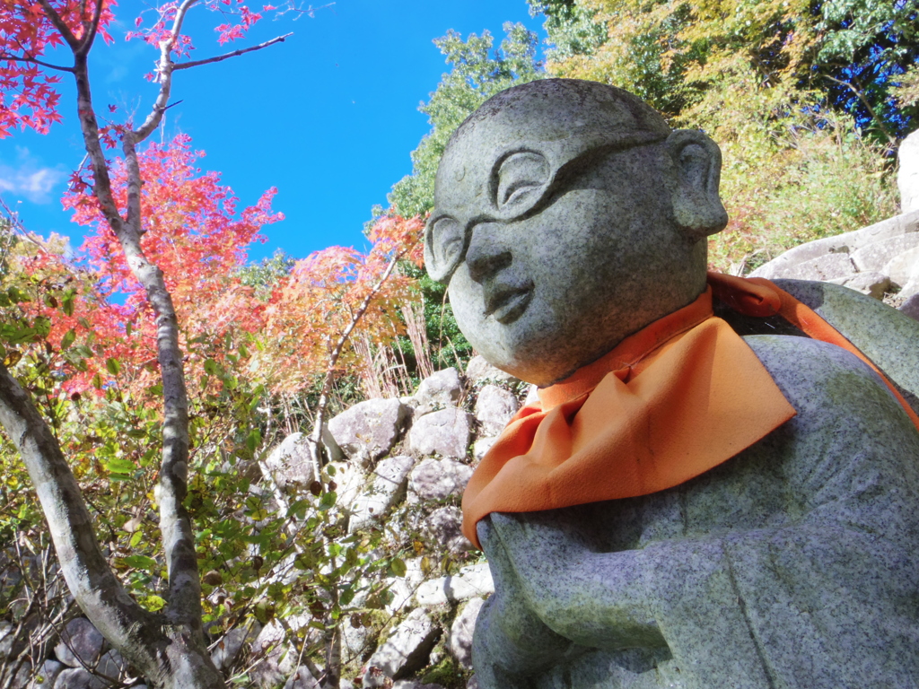 おめがね様