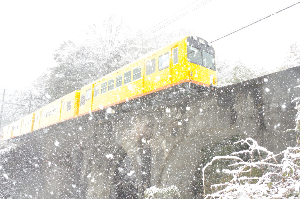 めがね雪