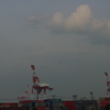 キリンの国。