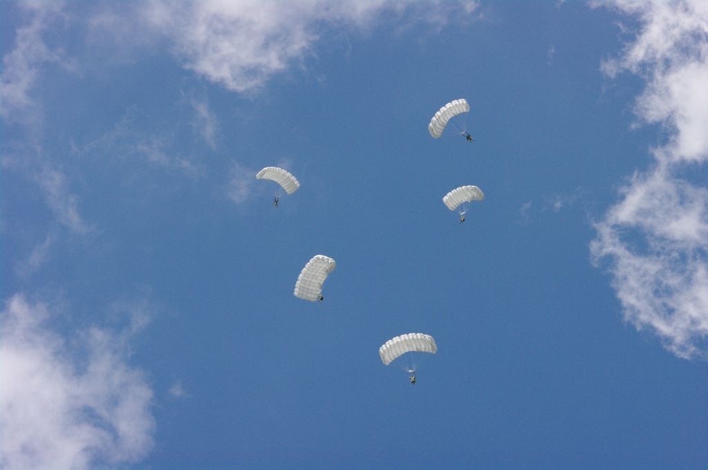空を舞う