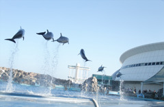 jump!!