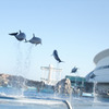 jump!!