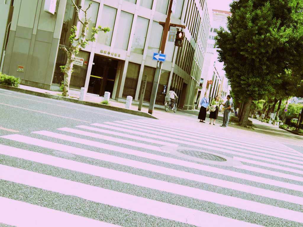 street snap *2