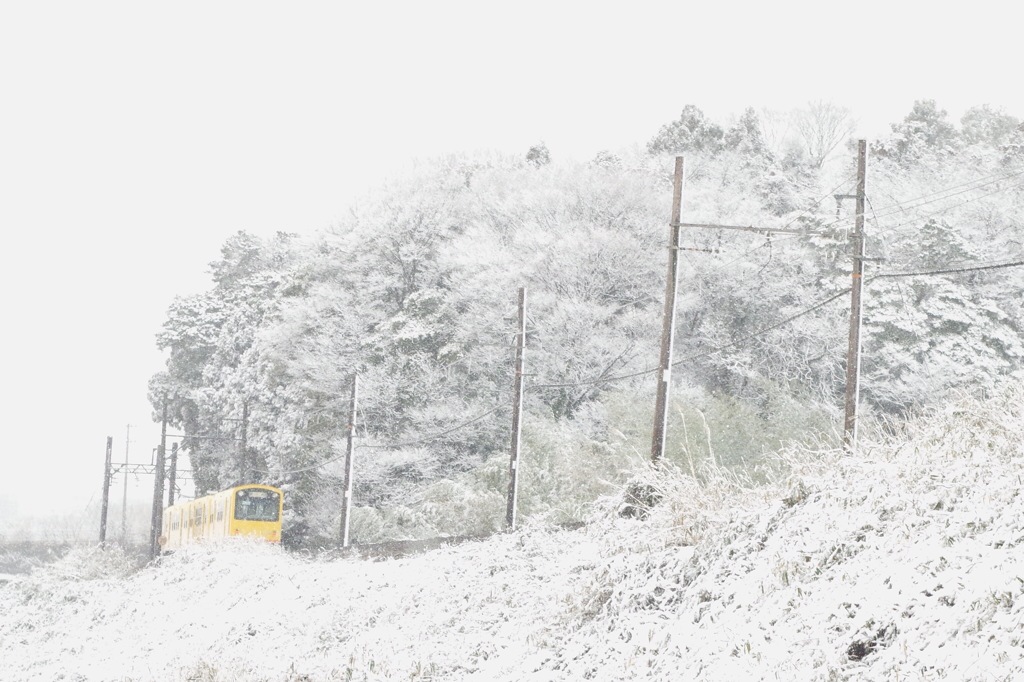 雪の中。