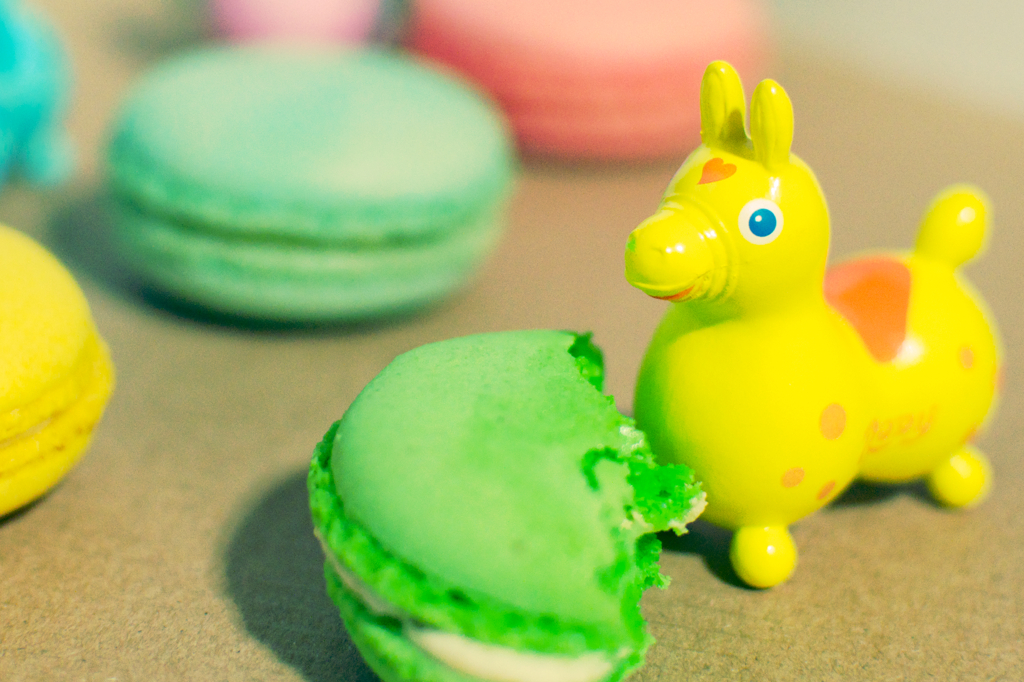 yum yum macaron*rody