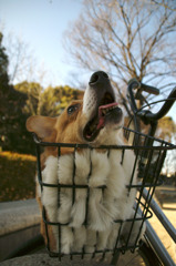 なにか見えるのかな？