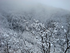 冬の最期1