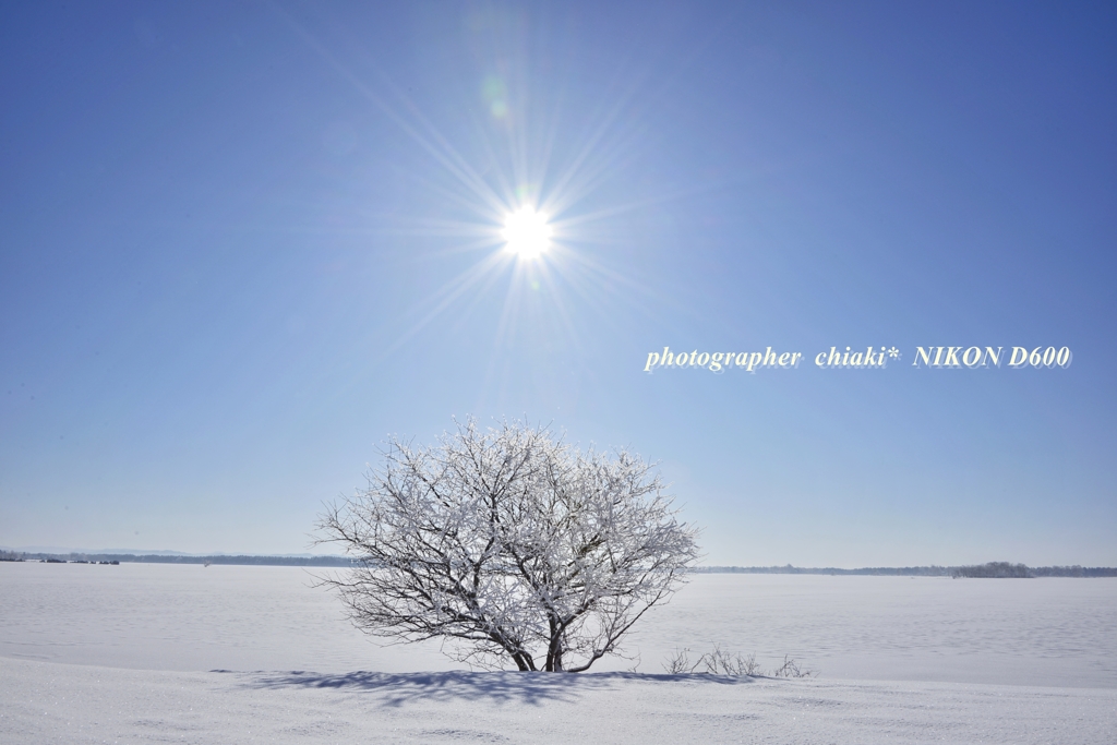 winter　sky*