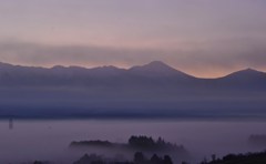富良野の朝霧