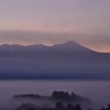 富良野の朝霧