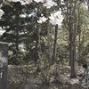 凍る村に春がきたｗ