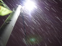 今夜は積もりそう・・