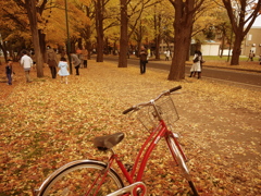 自転車のきもち。