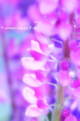 ~always happy♬~