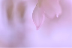 微かな想い