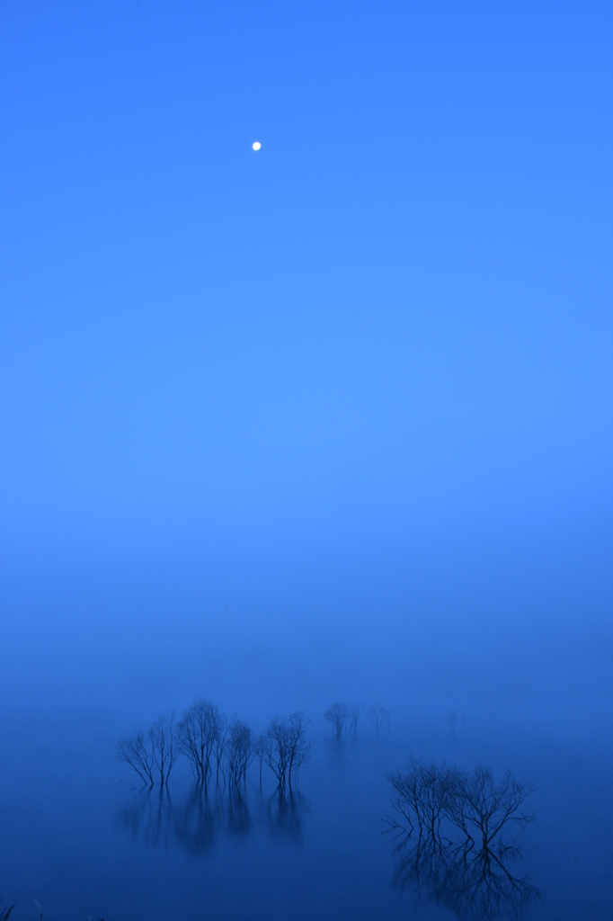 moon at daybreak☪