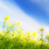 雲が包んで。。