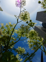 空へ