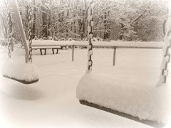 雪、積もる＠ブランコ