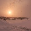 粉雪、舞う