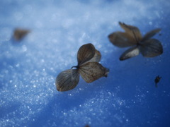 fall into a deep sleep