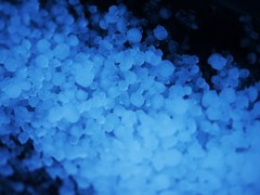 blue sleet