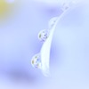 Water drops*