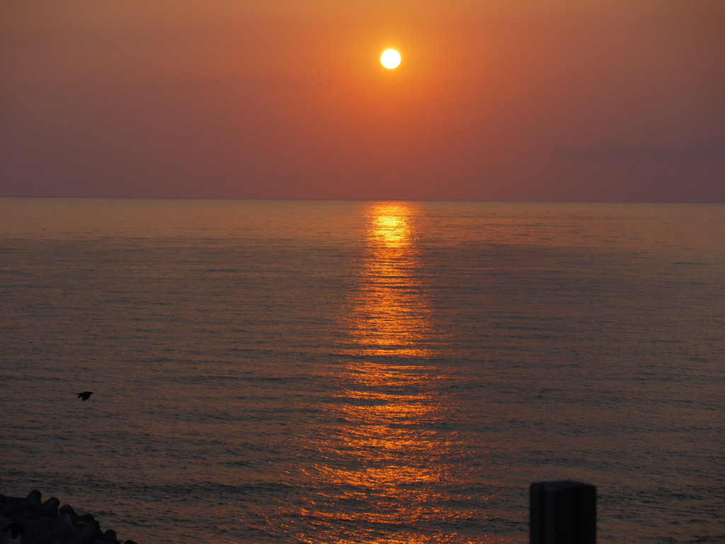 sunset orange